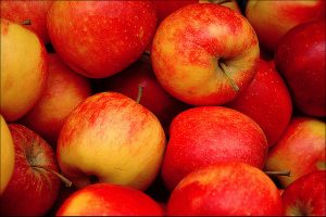 Image credit: flickr User: Sigfrid López