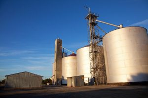 Image credit: flickr User: Trent Nicholson