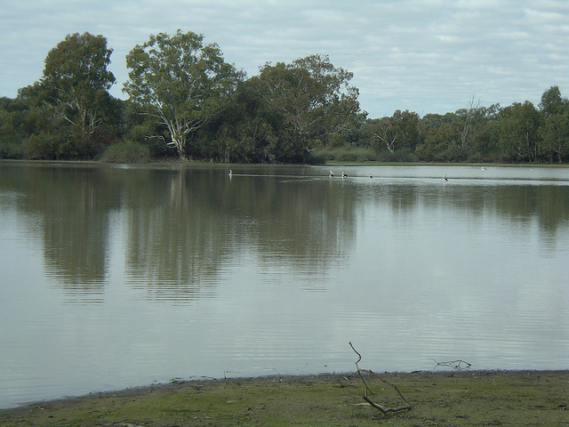 River Murray Image credit: flickr user: WEA Ramblers