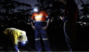 Image credit: Sirius Resources webpage